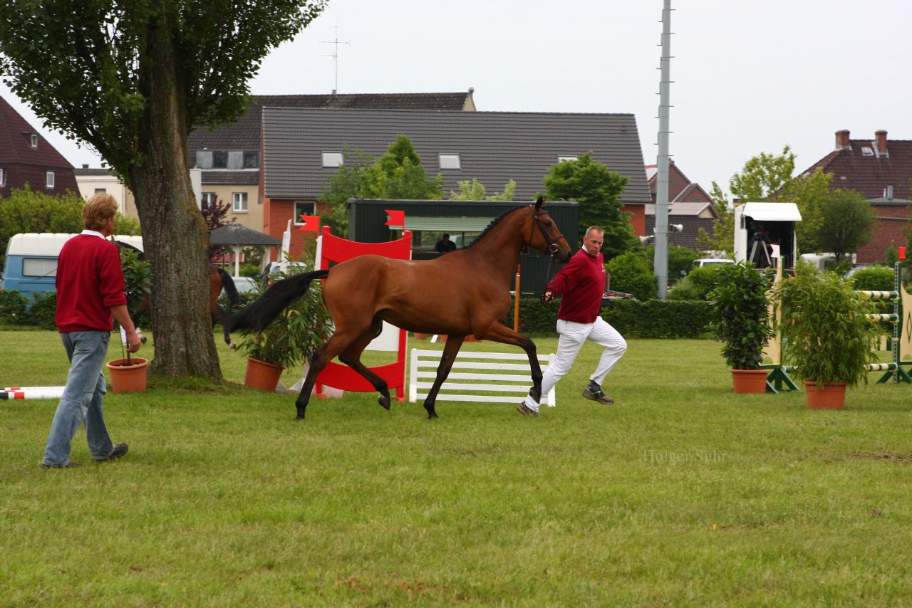 Bild 44 - Elmshorn am 9.6.10